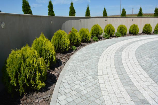 Best Commercial Driveway Paving in Scotchtown, NY